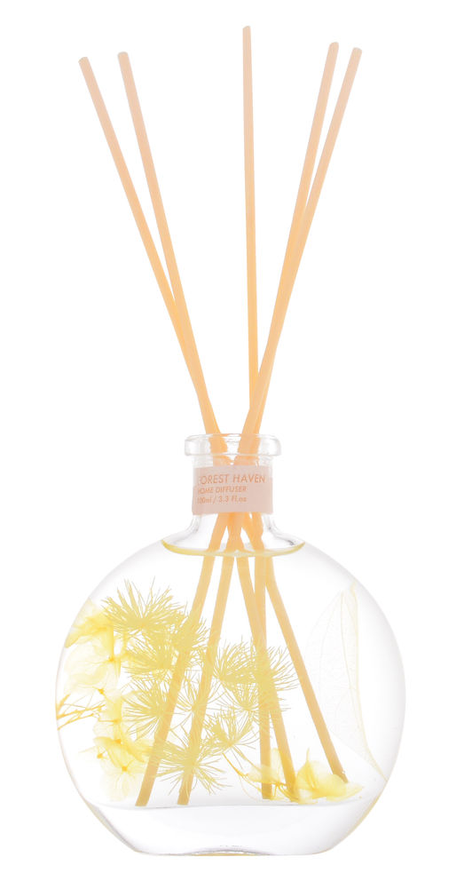 56109e