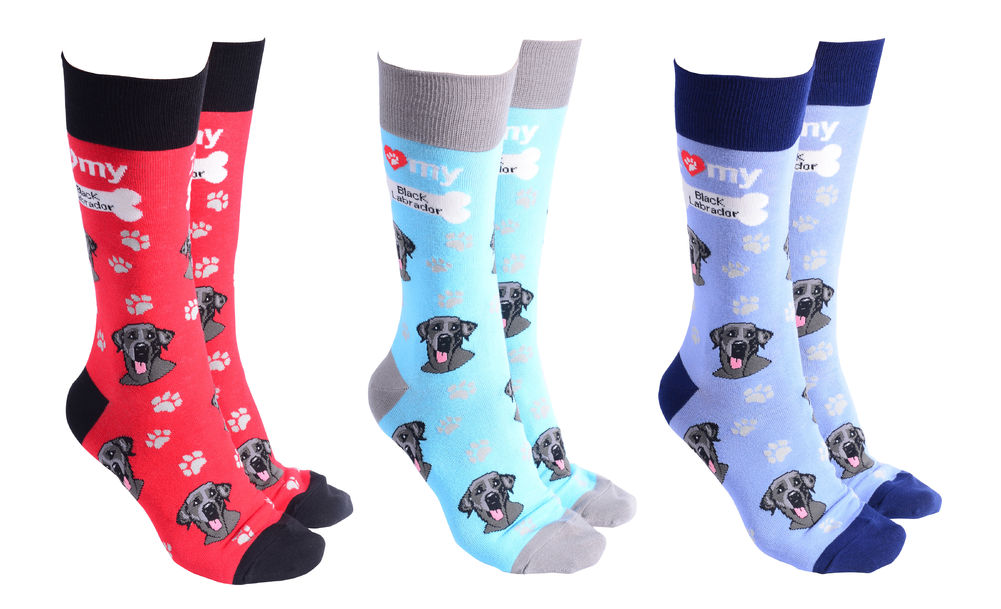[52480] DOG SOCIETY BLACK LABRADOR (3)