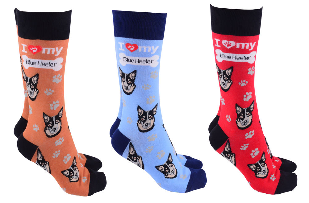 [52482] DOG SOCIETY BLUE HEELER (3)