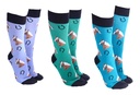 SOCK SOCIETY HORSE SHOES (3)