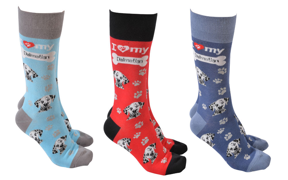 [53363] DOG SOCIETY DALMATIAN (3)