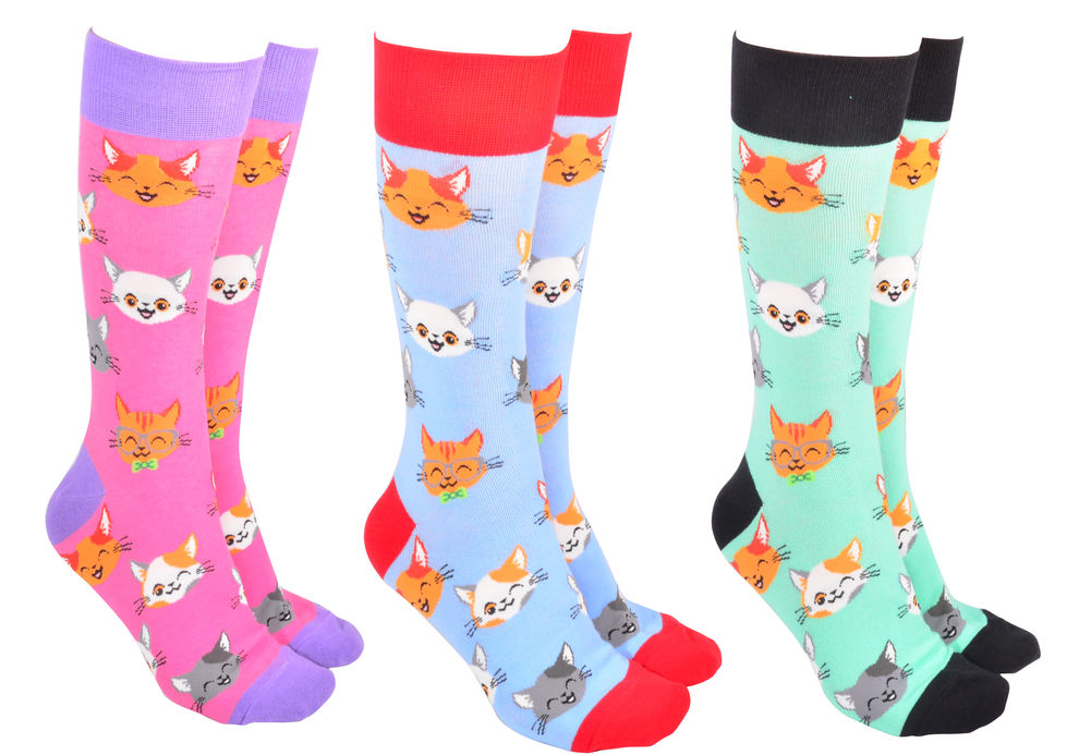 [53984] SOCK SOCIETY CUTE CATS (3)