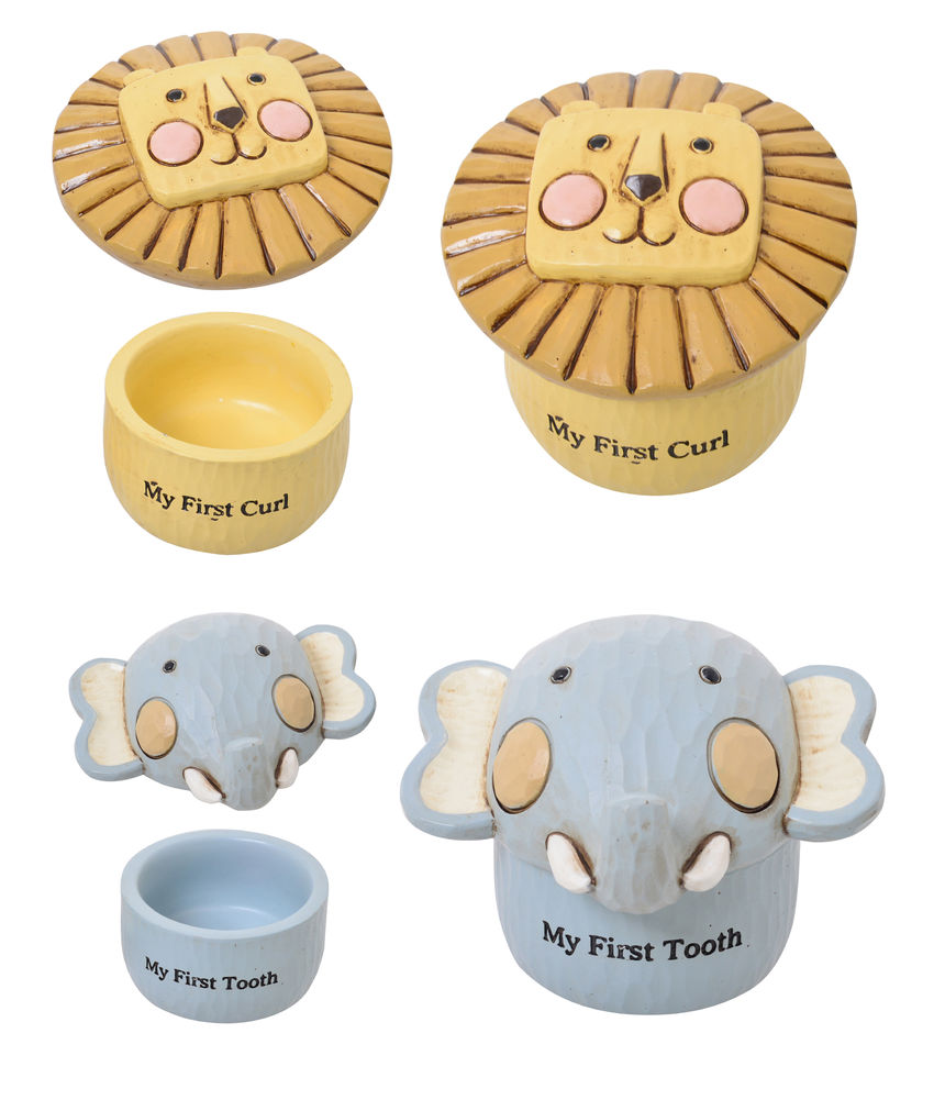[54255] NOAH'S ARK TOOTH& CURL T/BOX R