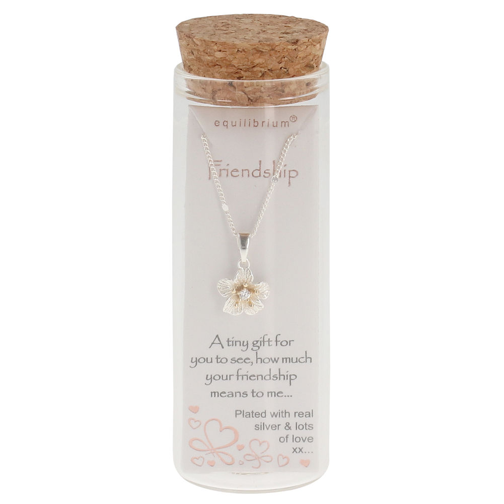 MSG BOTTLE NECKLACE FRIENDSHIP