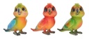 BOGGLEZ PARROT (3)