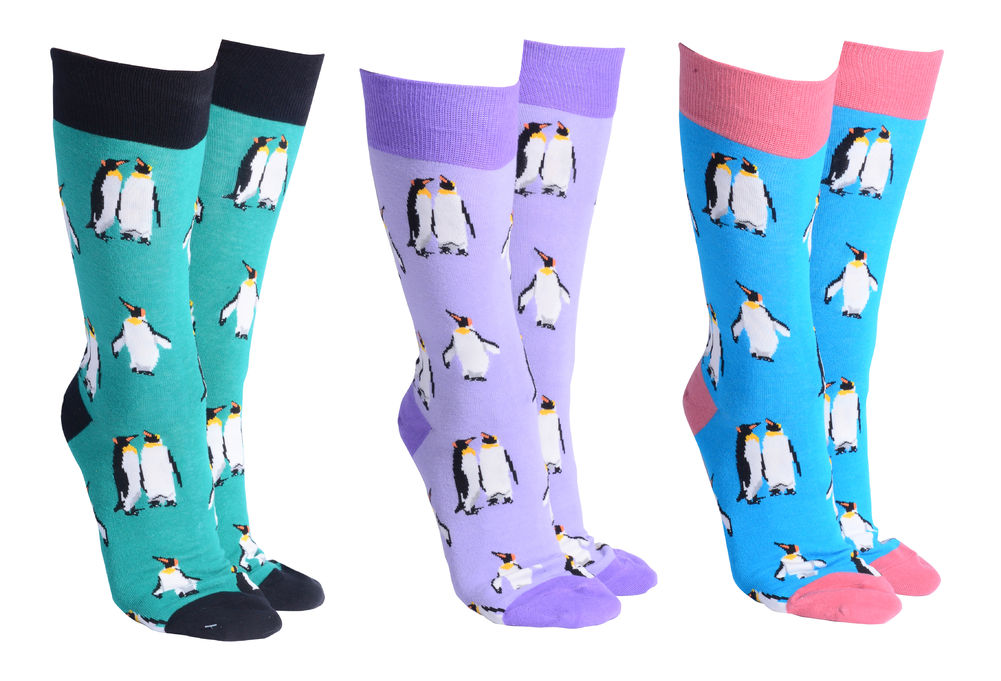 SOCK SOCIETY PENGUINS (3)