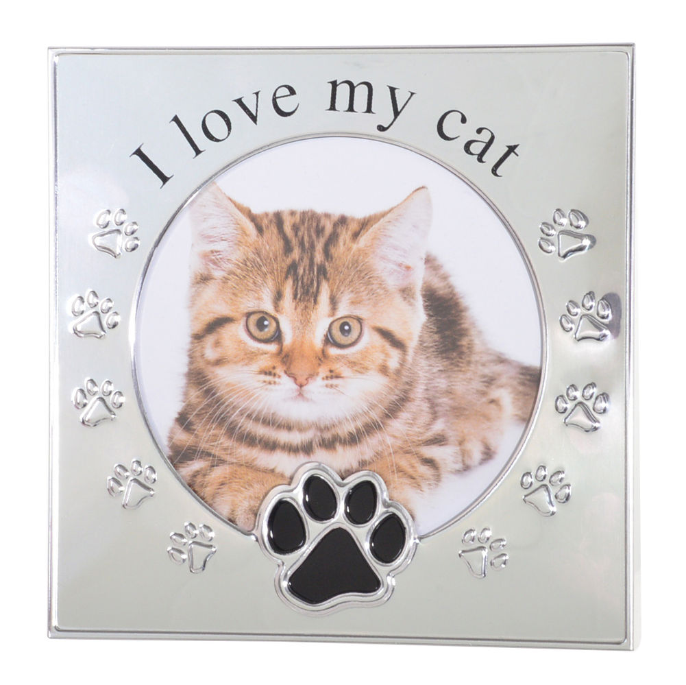 [20157] I LOVE MY CAT SILVER FRAME 4X4