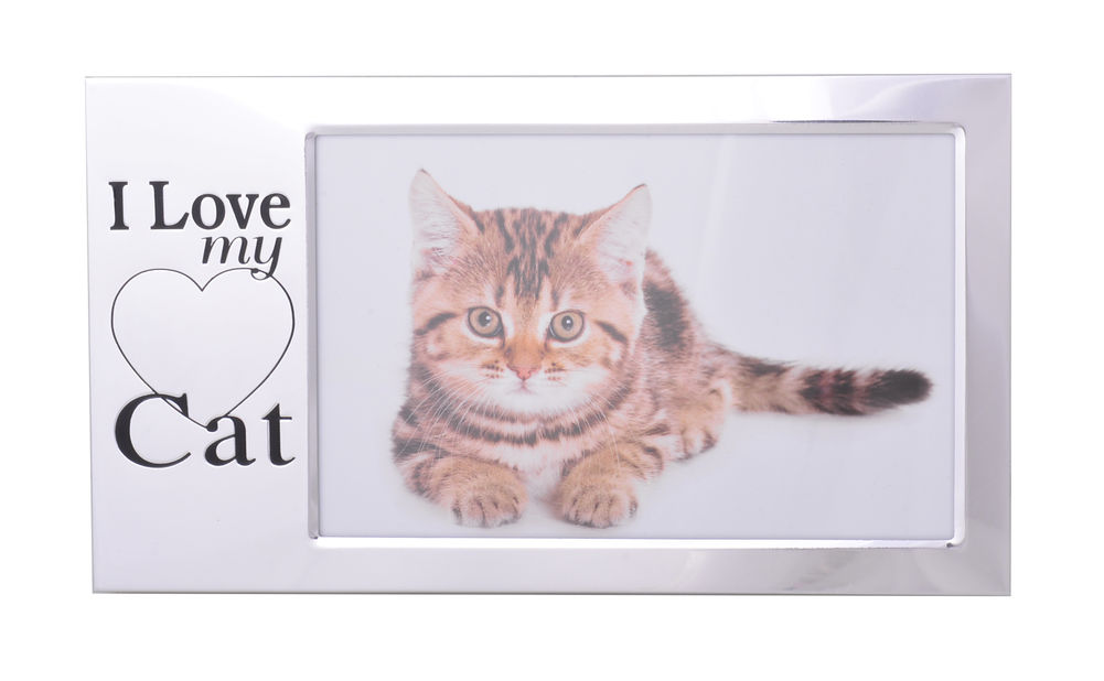[20165] I LOVE MY CAT SILVER FRM 6X4