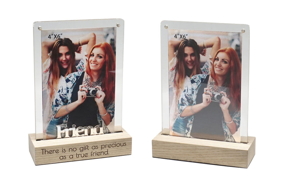 [20603] DUAL VIEW 4X6 FRAME FRIEND R