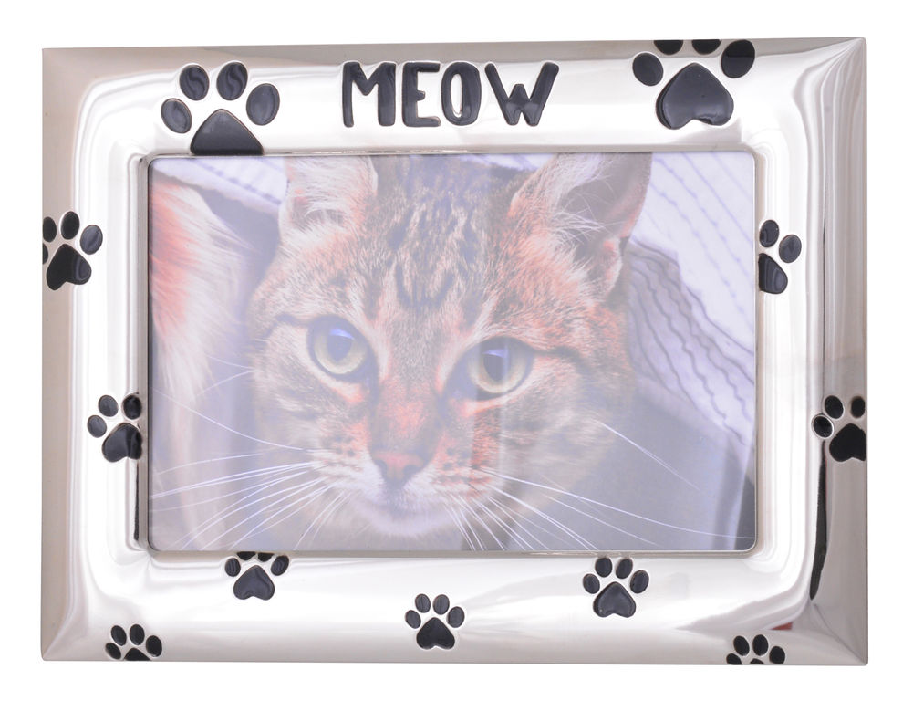 [21066] MEOW FRAME 6X4