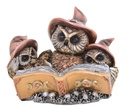 MAGIC & MYSTIC OWL TRIO