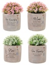 WILD MEADOW MSG POT PLANT (4)