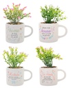 WILD MEADOW POT PLANT MUGS (4)