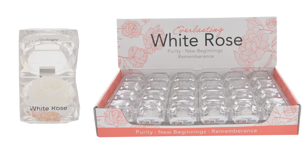 [26955] EVERLASTING WHITE ROSE BOX
