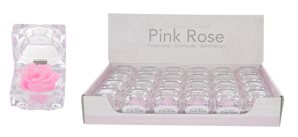 [26956] EVERLASTING PINK ROSE BOX