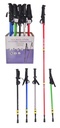 WALKING STICK (5)