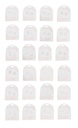 EQLB BLING SPARKLE EARRINGS(24)