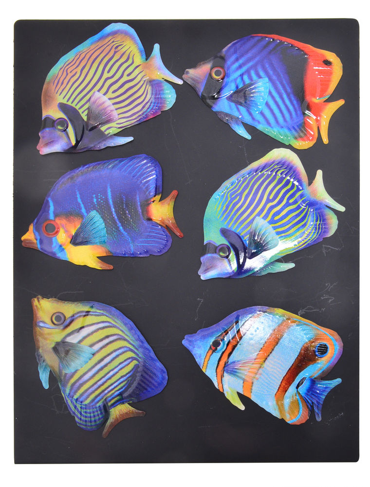 [27238] TROPICAL FISH METAL MAGNET (6)