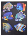 TROPICAL FISH METAL MAGNET (6)