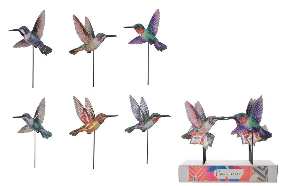[27242] HUMMINGBIRD GARDEN PICK (6)
