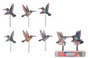 HUMMINGBIRD GARDEN PICK (6)