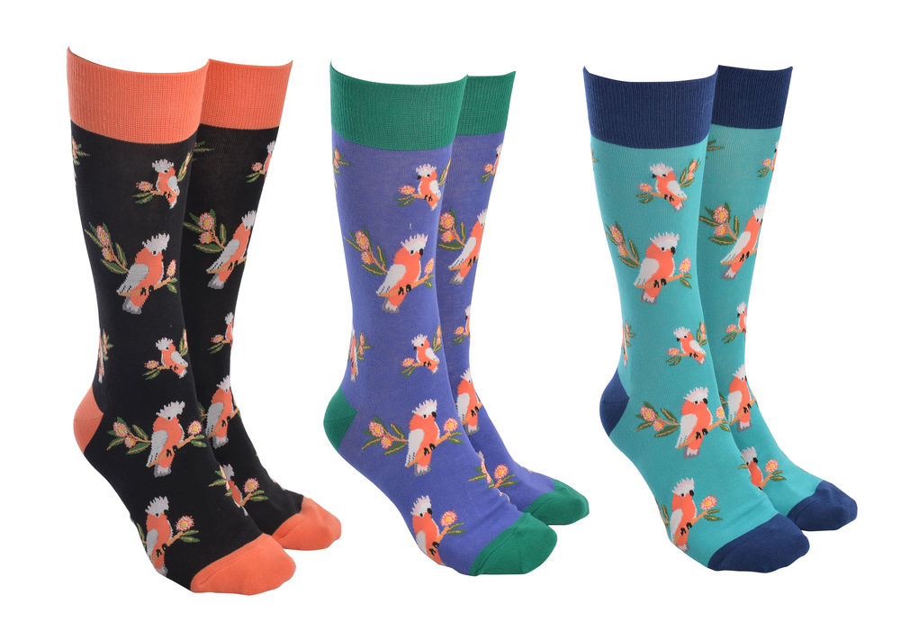 [27324] SOCK SOCIETY GALAH (3)