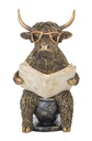 COOL COW LOO TIME