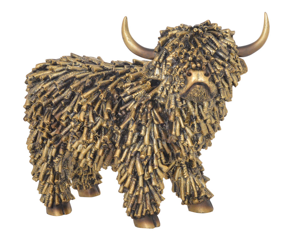 SHAGGY COW STANDING