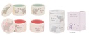 HELLO BABY TOOTH & CURL SET (2